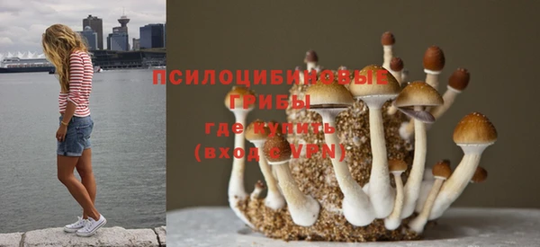 мескалин Тихвин