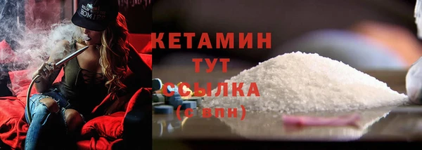 стафф Тавда
