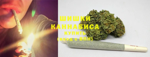 крисы Заводоуковск