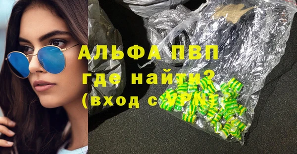 ECSTASY Тайга