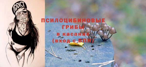 ПСИЛОЦИБИНОВЫЕ ГРИБЫ Заволжск
